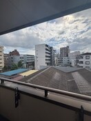 室内からの展望 ギンガム瑞江