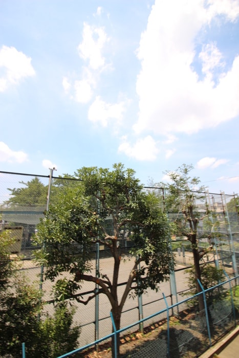 室内からの展望 Ｐｕｒｅ　Ｃｏｕｒｔ