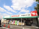 スギドラッグ府中若松店(ドラッグストア)まで260m リヴィエール