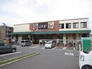 ユーコープ ミアクチーナ末吉店(スーパー)まで937m 梶山1丁目戸建