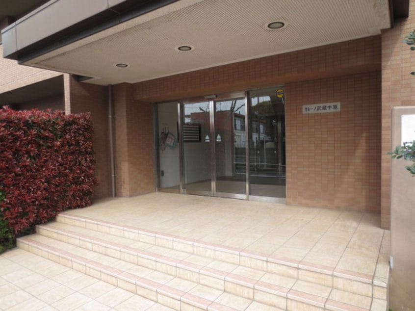 エントランス部分 セレーノ武蔵中原