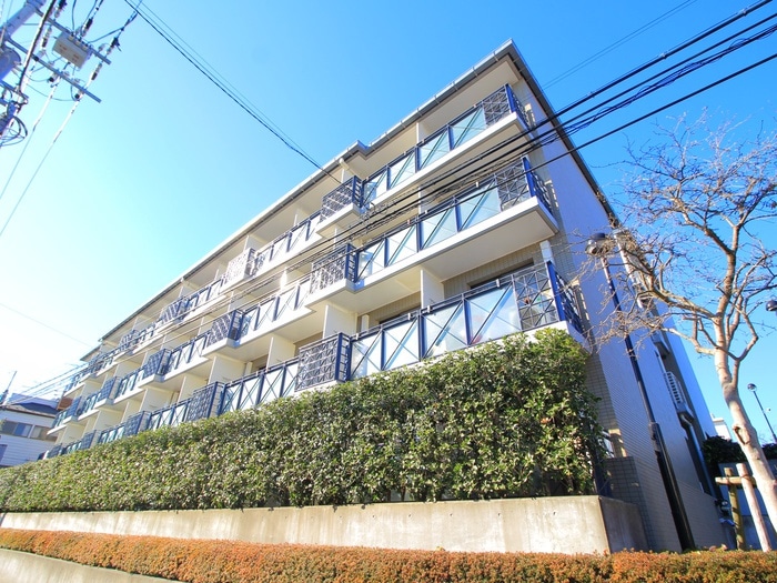 外観写真 エルハイツ成増(Ｅ４０２)