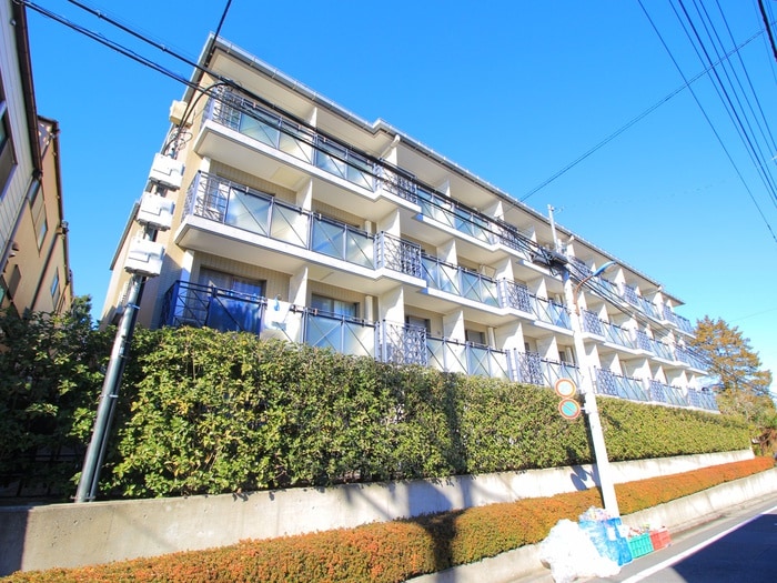 外観写真 エルハイツ成増(Ｅ４０２)