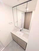 洗面 ｻﾞ･ﾊﾟｰｸﾊﾋﾞｵ神楽坂ﾚｼﾞﾃﾞﾝｽSouth