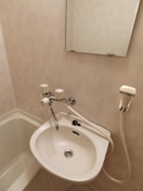 洗面 メゾン武蔵浦和参号館