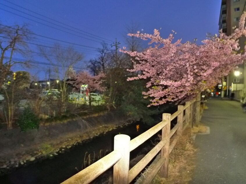 周辺環境 アンセイエ松戸