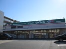 セイムス　武蔵新城店(ドラッグストア)まで282m サンライズ新城