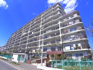 ｿﾌﾄﾀｳﾝﾆｭｰ谷津遊園(705)