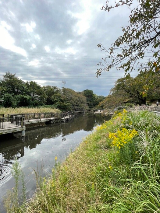 岸根公園(公園)まで1123m TOP片倉第一（407）