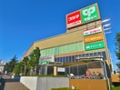 サミットストア成城店(スーパー)まで428m グランシャリオ砧