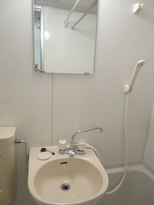 洗面 エルプレミア平井