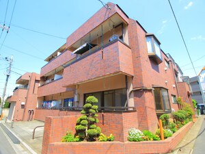 メゾンルミエール
