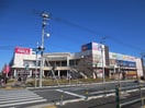 ベルクスモール(ショッピングセンター/アウトレットモール)まで465m ハイツフラワーフィールド