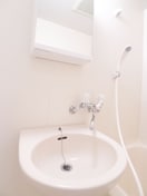 洗面 カスタリア西船橋