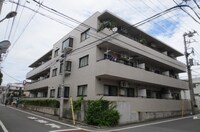 ドミシールブロン