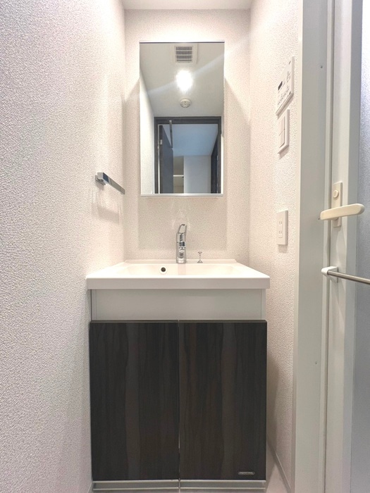 洗面 ﾗﾌｨｽﾀ大師前Ⅳ(205)