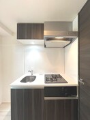 キッチン ﾗﾌｨｽﾀ大師前Ⅳ(205)