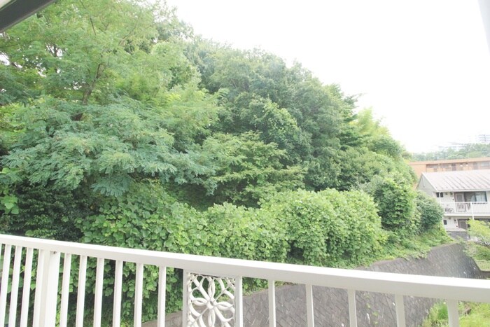 室内からの展望 コンフィーコーポ