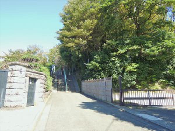 名瀬いちい保育園(幼稚園/保育園)まで341m メゾン関口