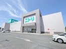 ニトリ茂原店(電気量販店/ホームセンター)まで4000m 茂原市法目貸家