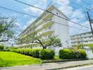 外観写真 海老名プラーザ18号棟（505）