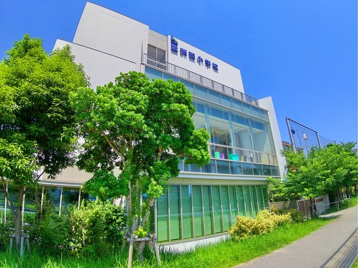 豊洲小学校(小学校)まで350m パークアクシス豊洲キャナル
