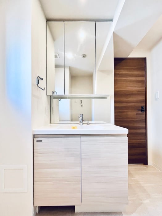 洗面 マキシヴ浅草（803）