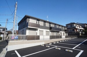 グリーンコモド
