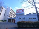 オーケーストア(スーパー)まで676m ペルル穴川