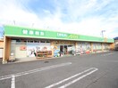 ドラッグエース 岸町南店(ドラッグストア)まで500m 仮）川越市岸町２丁目貸家