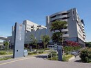 横浜市立みなと赤十字病院(病院)まで1000m ニックハイム本牧（207）