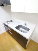 キッチン クリアウォ－タ芝