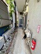 外観写真 モンステラ港南Ｂ