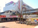 イオン(スーパー)まで260m キャピタル新越谷