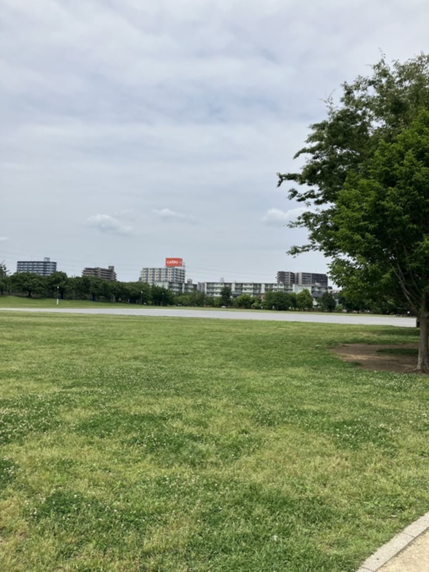 まつばら綾瀬川スポーツ公園(公園)まで350m シティハイムフジハイツⅡ