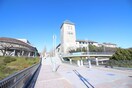 東京都立大学(大学/短大/専門学校)まで870m アクティブ多摩
