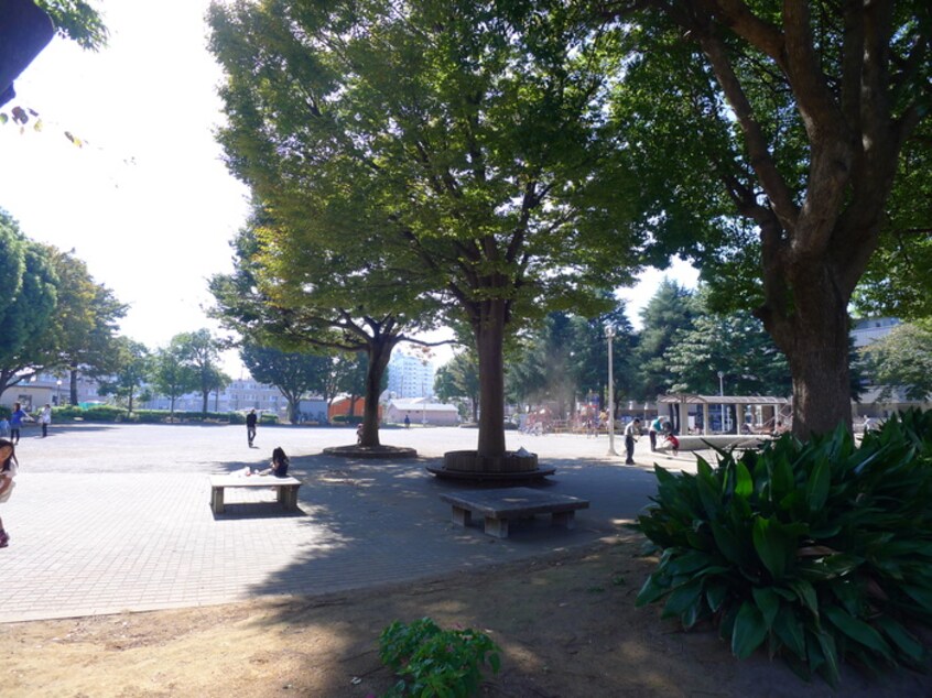 向原公園(公園)まで180m ＣＩＴＹ　ＣＯＳＭＯ小仲台