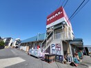 トライアル(ディスカウントショップ)まで197m リトルリバーハイツ