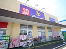 ウェルパーク(ドラッグストア)まで1000m 豊美ハイツ