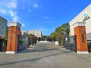 東邦大学(大学/短大/専門学校)まで603m プレステージ