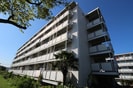 ビレッジハウス川井宿6号棟の外観
