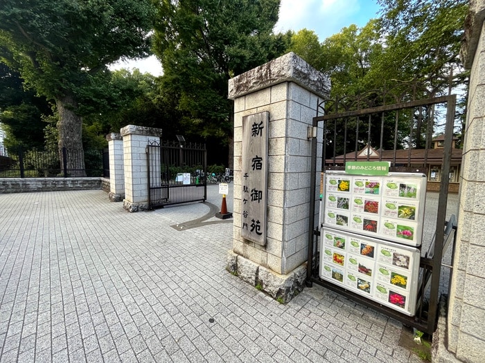 新宿御苑(公園)まで140m サンテリア千駄ヶ谷