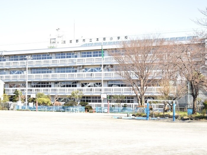 武蔵野市立本宿小学校(小学校)まで180m ハイツ橘