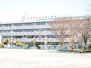 武蔵野市立本宿小学校(小学校)まで180m ハイツ橘