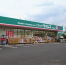 セイムス(ドラッグストア)まで280m 藤三ハイツ