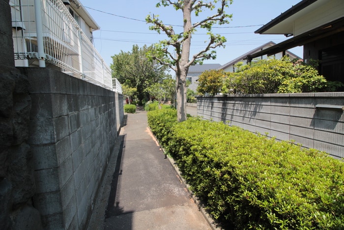 周辺環境 メディオ湘南