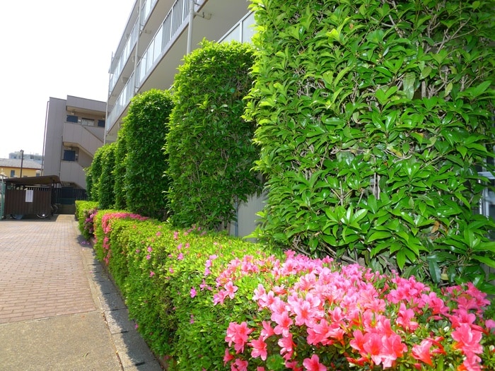 その他 南流山グリーンハイツ