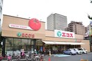 エコス 大横店(スーパー)まで759m 桂コ－ポラス