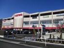 ＳＡＮＷＡ　富士見店(スーパー)まで600m 千代田マンション