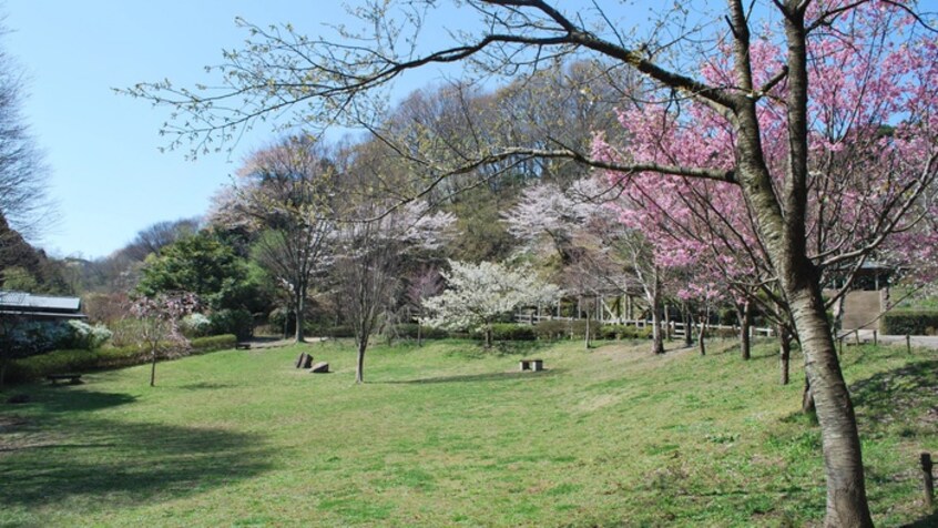 鎌倉中央公園(公園)まで1800m フラット森井